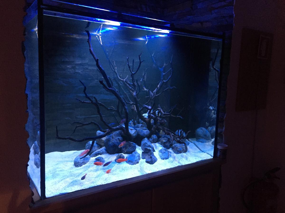 Ferienwohnung Aquarium House Sesimbra Exterior foto
